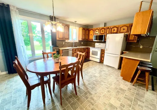 Maison à vendre - 10 Rue Brochu, Danville, J0A 1A0