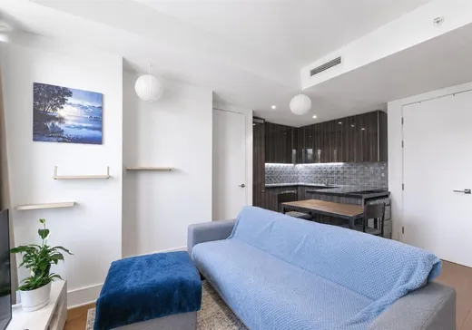 Condo à vendre - 1188 Av. Union, App. 2007, Montréal (Centreville), H3B 0E5