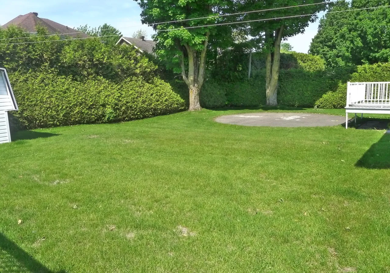 31 Rue de la Colline — photo 3