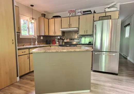 Maison à vendre - 162 Rue de la Pervenche, St-Donat-De-Montcalm, G0K 1L0