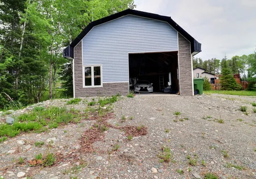 Maison à vendre - 102 Rue Guénette, Val-d'Or, J9P 0C3