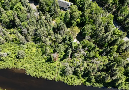 Maison à vendre - 566 Ch. Forest, Saint-Sauveur, J0R 1R7