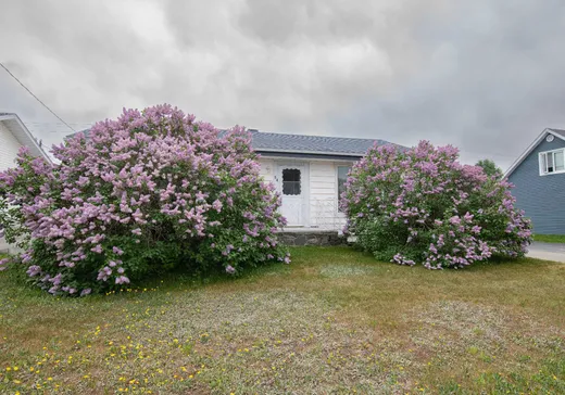 Maison à vendre - 84 Rue Sylvestre, Val-d'Or, J9P 2R8