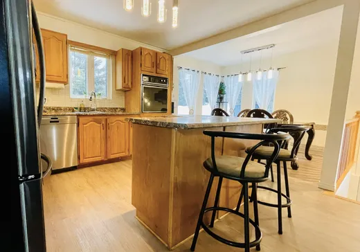 Maison à vendre - 523 Rue St-Sauveur, Rouyn-Noranda, J9X 3A6