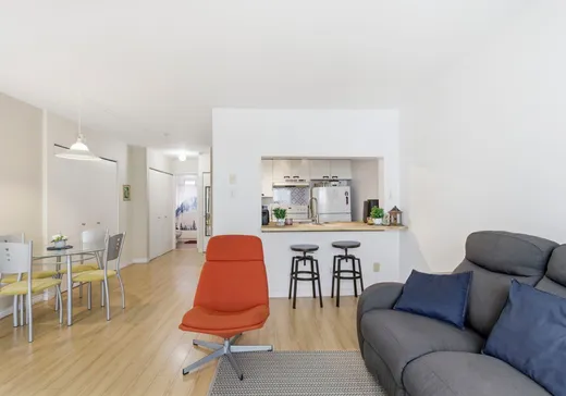 Condo à vendre - 1071 Rue St-André, Montréal (Centreville), H2L3T3