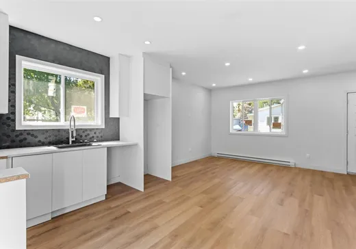 Maison à vendre - 23 Rue St-Pierre, Salaberry-de-Valleyfield, J6T 3R6