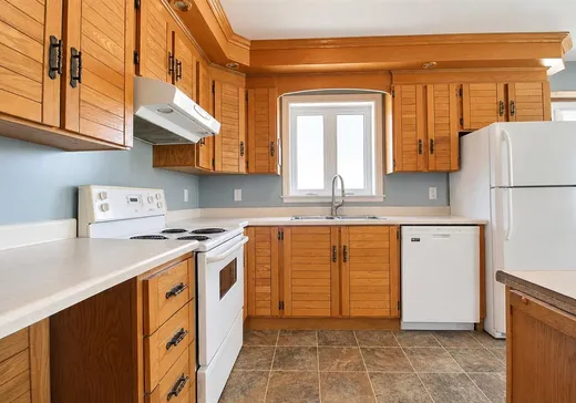 Maison à vendre - 568 Rue Principale, Saint-Camille-de-Lellis, G0R 2S0