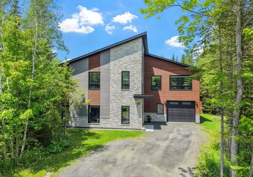 Maison à étages à vendre - 119 Rue de VilleBois, Eastman, J0E1P0