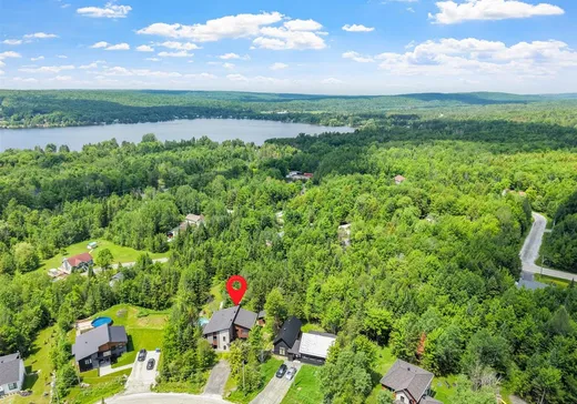 Maison à vendre - 119 Rue de VilleBois, Eastman, J0E 1P0