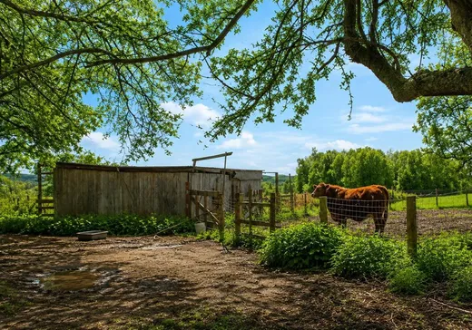 Fermette à vendre - 698Z 6e Rang, Saint-Félix-de-Kingsey, J0B 2T0