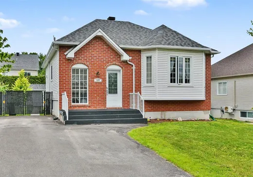 House for sale - 309 Rue de la Châtelaine, Montreal (Mercier/Hochelaga-Maisonneuve), J5L 0A4