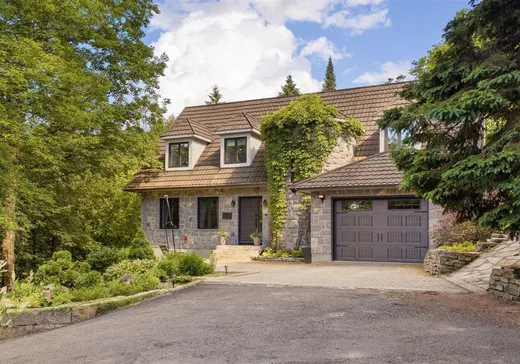 Two or more stories for sale - 153 Route 323, Saint-Faustin, J0T1B0