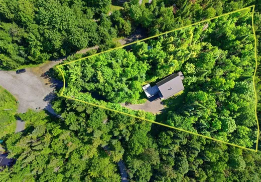 Maison à vendre - 51 Rue des Wapitis, Eastman, J0E 1P0