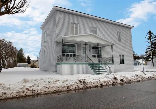 Maison à vendre - 487 Av. St-Clovis, Saint-Alexandre-de-Kamouraska, G0L 2G0