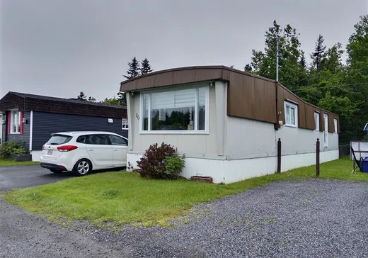 Loft for sale - 20 Rue du Parc-de-l'Amitié, Notre-Dame-du-Portage, G0L 1Y0