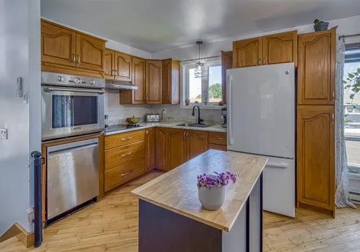 House for sale - 48 Rue Mailhot, Plessisville, G6L 4J3