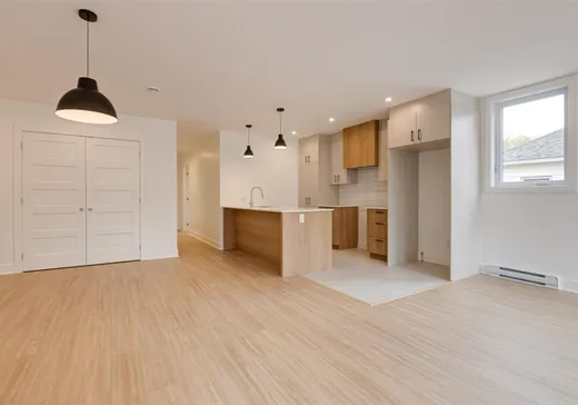Condo for sale - 11387 Av. L'Archevêque, Montreal (North), H1H3B1