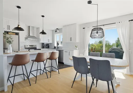 Maison à vendre - 100 Av. Amédée-Côté, Saint-Césaire, J0L 1M0