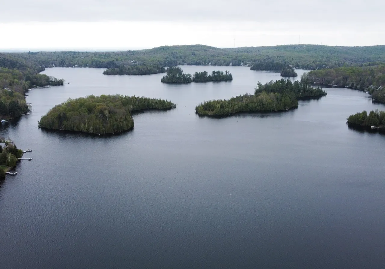 390Z-398Z Ch. des Quatorze-Îles — photo 1