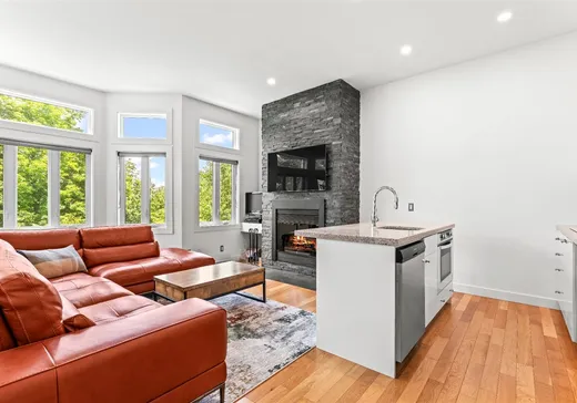 Condo à vendre - 143 Ch. du Hibou, Mansonville, J0E 1X0