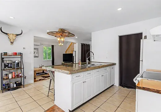 House for sale - 122 Rue des Pionniers, Saint-Pie, J0H 1W0