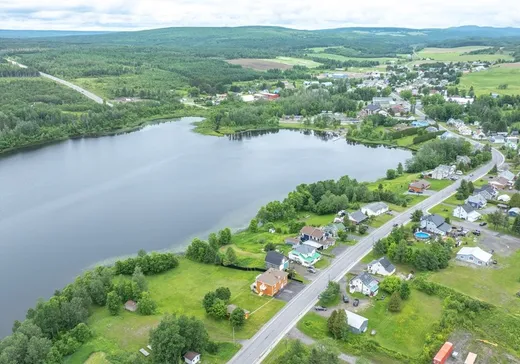 Maison à vendre - 31 Rue Principale (Lac-des-Aigles), Lac-Des-Aigles, G0K 1V0