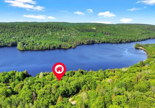 Maison à vendre - 190 Ch. du Lac-des-Pins-Rouges, St-Alexis-Des-Monts, J0K 1V0