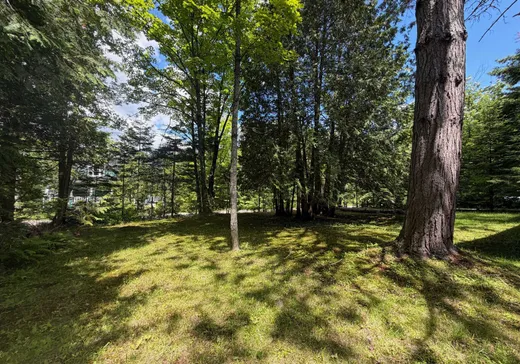 Maison à vendre - 581 Ch. St-Jean, Sainte-Agathe-des-Monts, J8C 2Z7