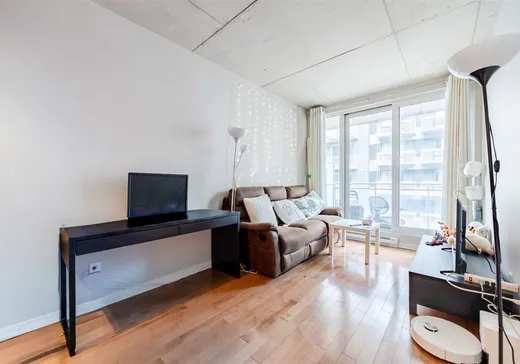 Condo à vendre - 1235 Rue Bishop, App. 803, Montréal (Ville-Marie), H3G 0A6