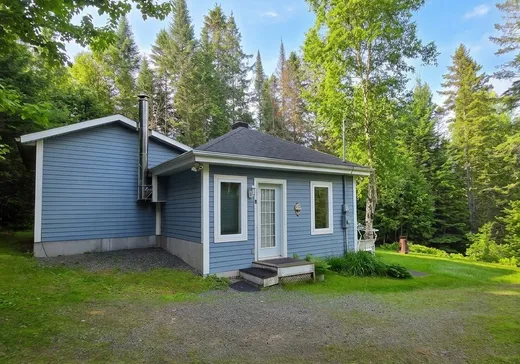 Maison à vendre - 5847 Ch. du Lac-Arpin, Sainte-Agathe-des-Monts, J8C 2Z8