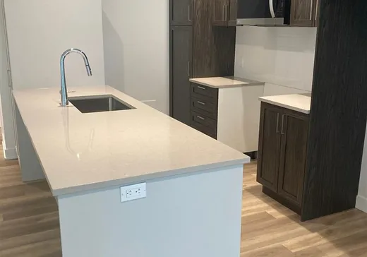 Condo à vendre - 280 Rue du Mont-Plaisant, App. 9, Mont-Tremblant, J8E 1L2