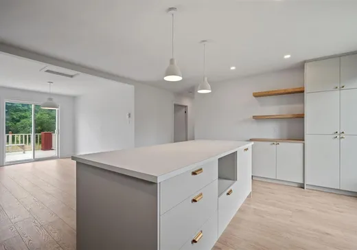 Maison à vendre - 57 Rue de la Dame-Neuve, Lachute, J8H 1A2