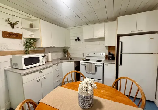 Maison à vendre - 47 Av. du Cap, Sainte-Christine-d'Auvergne, G0A 1A0