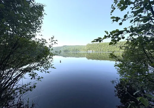 House for sale - 59 Ch. du Lac-Serpent, ND-Du-Laus, J0X 2M0