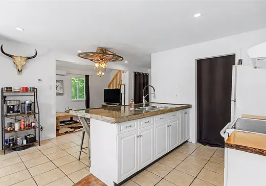 House for sale - 122 Rue des Pionniers, Saint-Pie, J0H 1W0