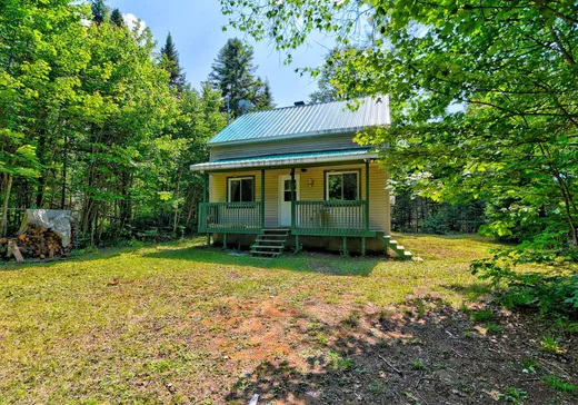 House for sale - 60 Rue des Bouleaux, Sainte-Christine-d'Auvergne, G0A 1A0