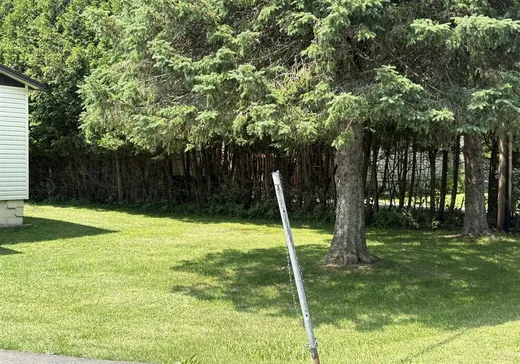 Maison à vendre - 133 Rue du Petit-Rapide, Saint-Adalbert, J0A 1E0