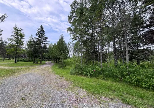 Maison à vendre - 101 Ch. du Lac-Noir N., Saint-Marcellin, G0K 1R0
