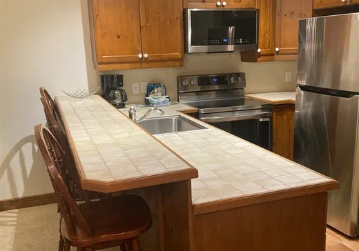 Condo à vendre - 175 Rue du Mont-Plaisant, App. 3, Mont-Tremblant, J8E 1L2