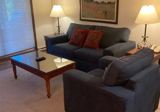 Condo à vendre - 175 Rue du Mont-Plaisant, App. 3, Mont-Tremblant, J8E 1L2
