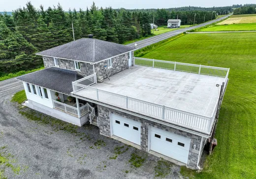 Fermette à vendre - 9121 Rg B-et-C, Thetford Mines, G0N 1E1