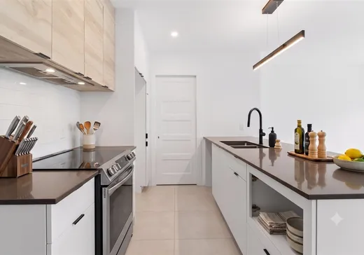 Maison à vendre - 971 Rue des Orpailleurs, Sherbrooke, J1H 0L1