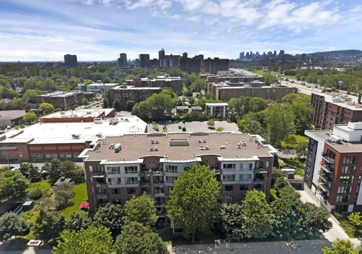 Condo à vendre - 72 Rue St-Sylvestre, Longueuil, J4H 2W2