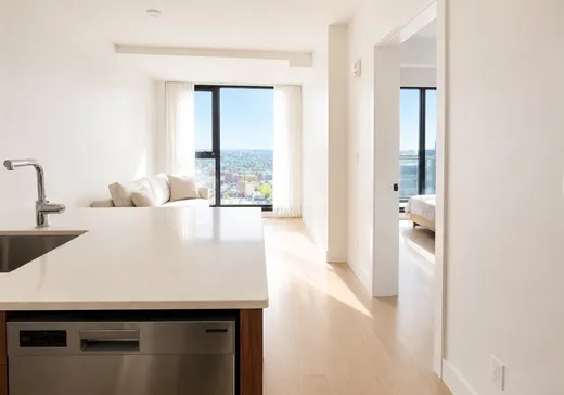 Condo à vendre - 1210 Rue Jeanne-Mance, App. 4606, Ville-Marie, H2X 1M1