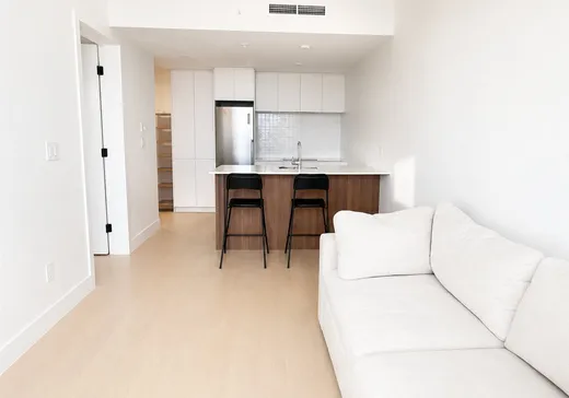 Condo à vendre - 1210 Rue Jeanne-Mance, App. 4606, Ville-Marie, H2X 1M1