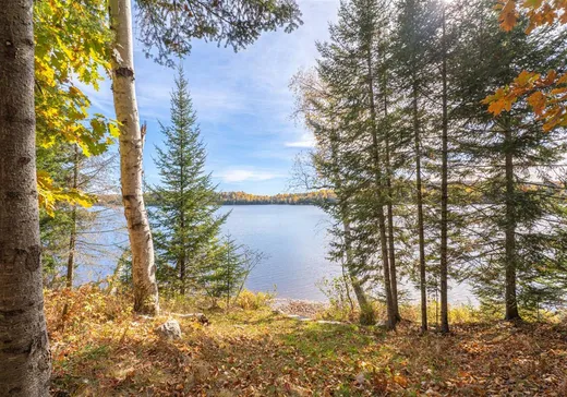 Maison à vendre - 2161 Ch. du Lac-aux-Bois-Francs O., Rivière-Rouge, J0T 1T0