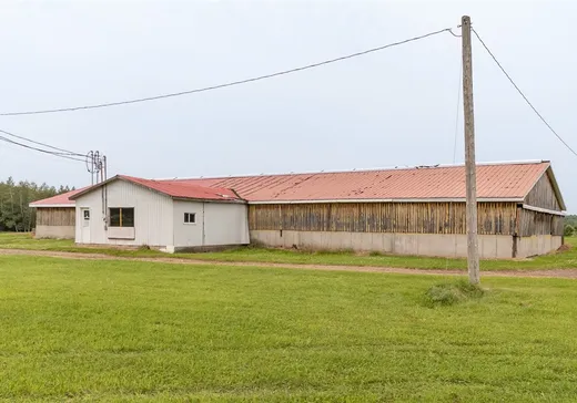 Fermette à vendre - 500Z Rang Charles-Héon, Saint-Louis-de-Blandford, G0Z 1B0
