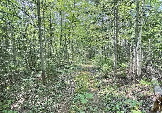 Maison à vendre - 1 Ch. du Lac S., Saint-Mathieu-de-Rioux, G0L 3T0
