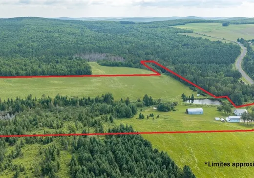 Maison à vendre - 124 3e rang de Robinson, Saint-Marc-du-lac-long, G0L 1T0