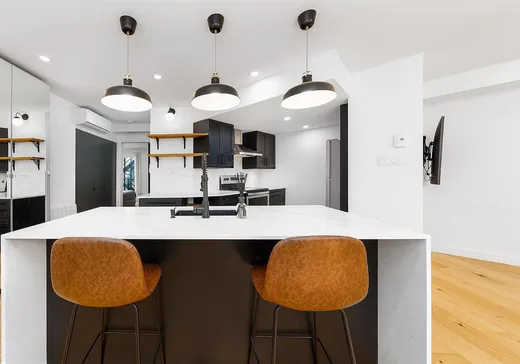 Condo for sale - 1055 Rue St-André, Montreal (Downtown), H2L 4Z6